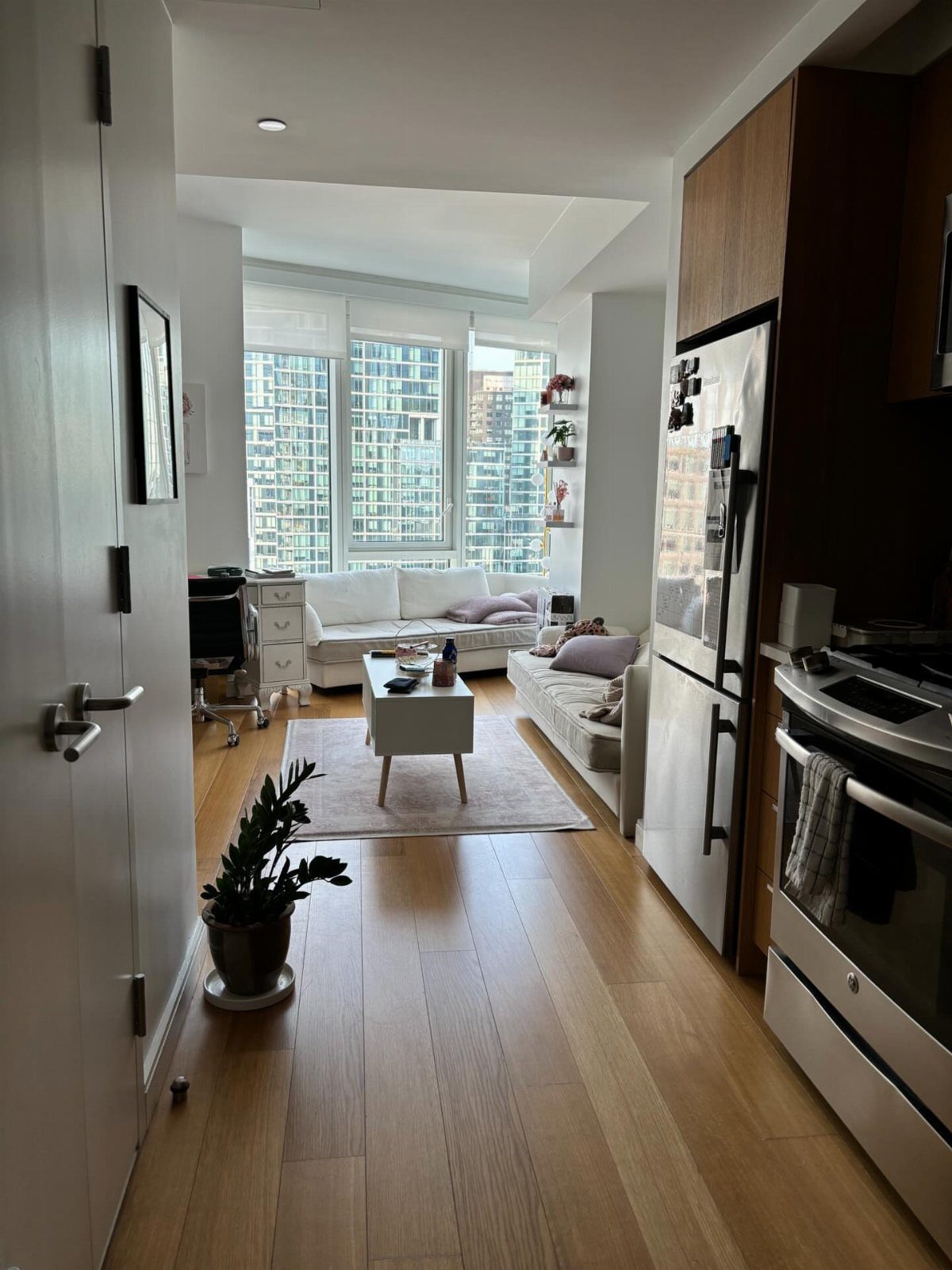 Narrow apartment interior with light wood floors, white furniture, and city views.
