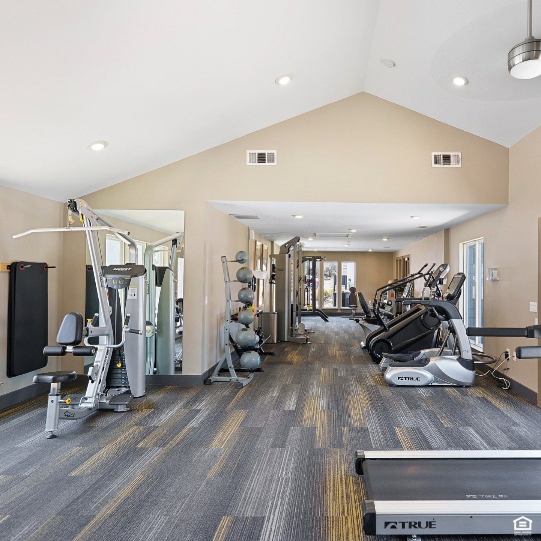 Modern fitness center with treadmills, weight machines, and medicine balls on striped carpeting.