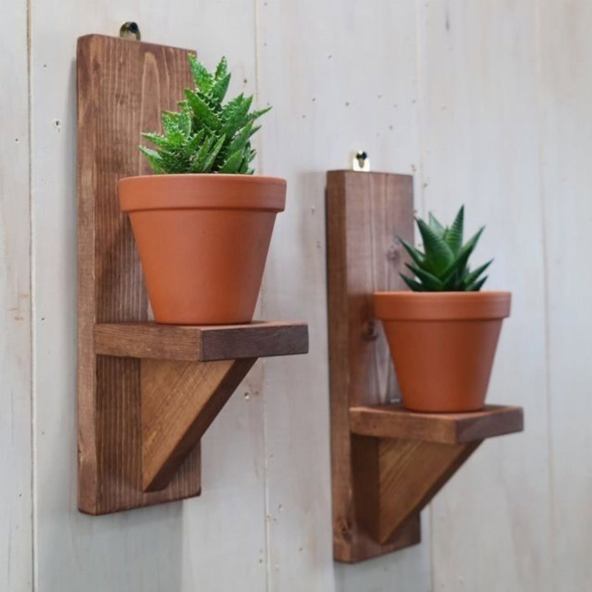 Two wooden wall-mounted shelves holding terracotta pots with green succulent plants.
