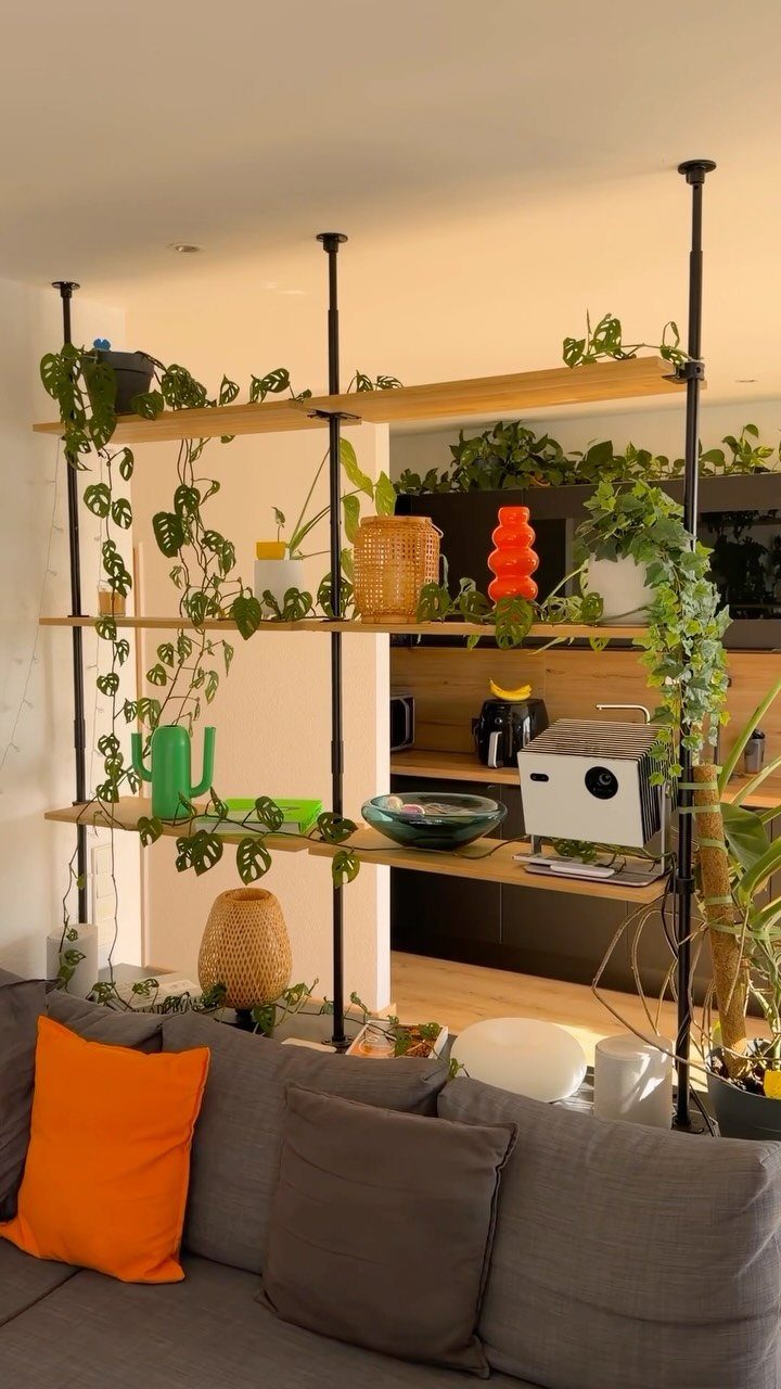 Floor-to-ceiling wooden shelving unit with plants and coffee machine acting as a room divider.