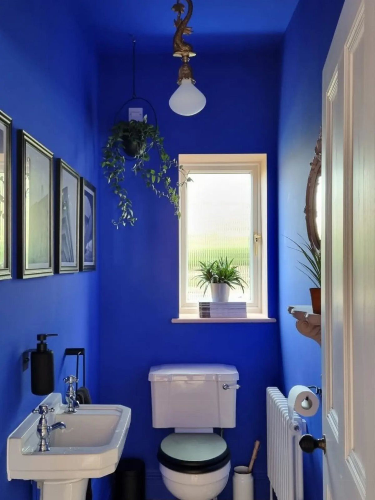 Cobalt blue bathroom walls with white sink, toilet, and a small window plant.