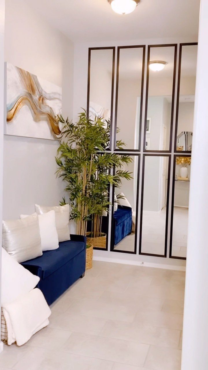 Blue sofa and green plant next to a large black-framed mirrored wall panel.