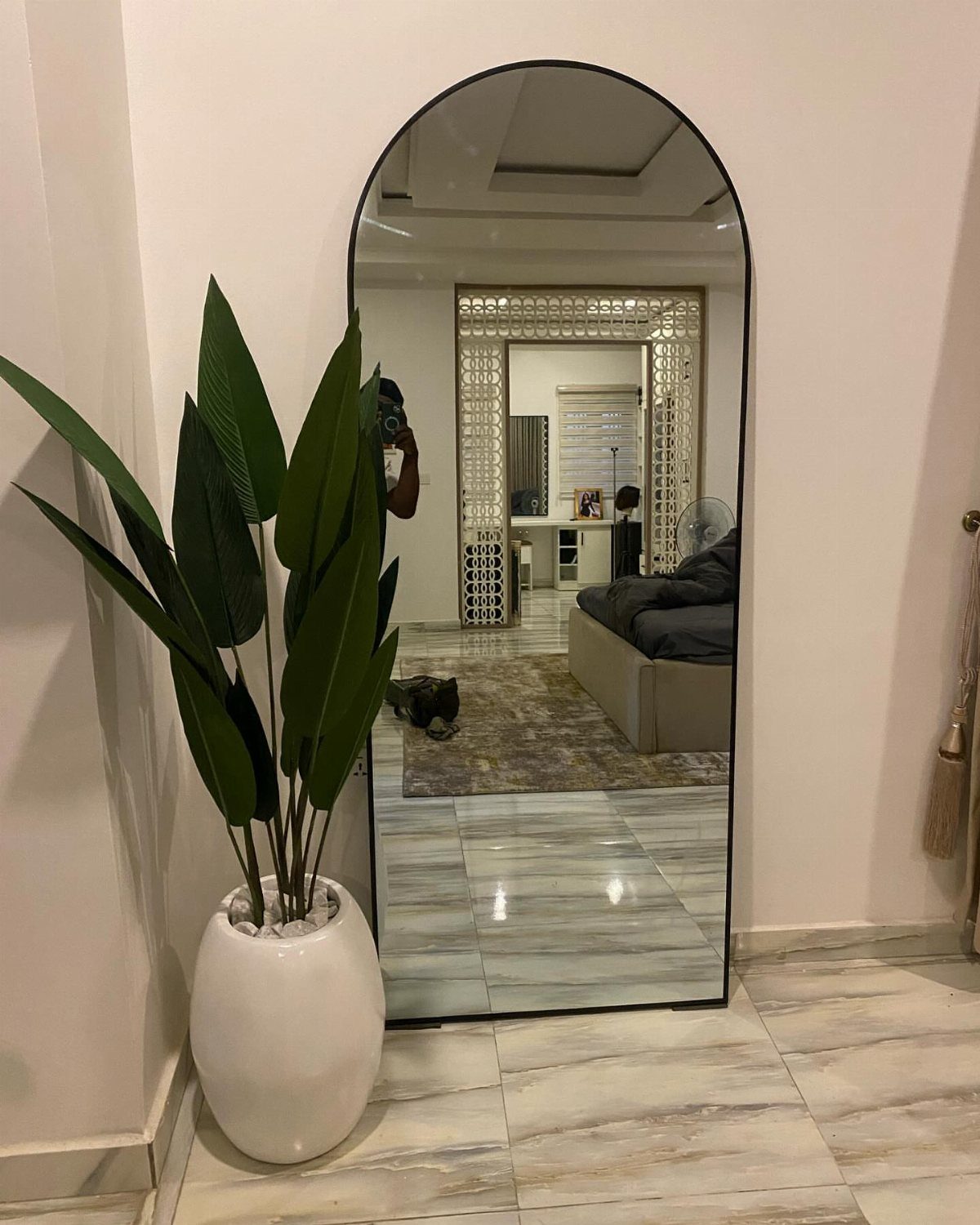 Arched floor mirror reflecting a living room next to a green potted plant