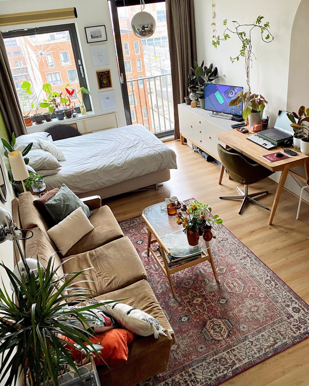 Large patterned red rug defining the living area in a bright studio apartment.